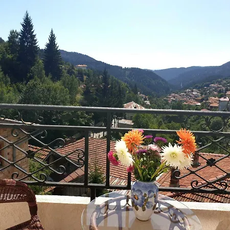Даяна Guest house